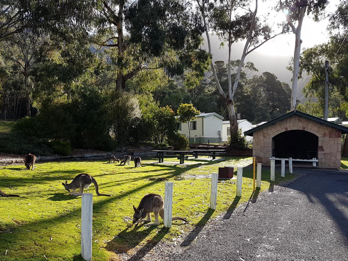 Breeze Holiday Parks - Halls Gap Dış mekan fotoğraf
