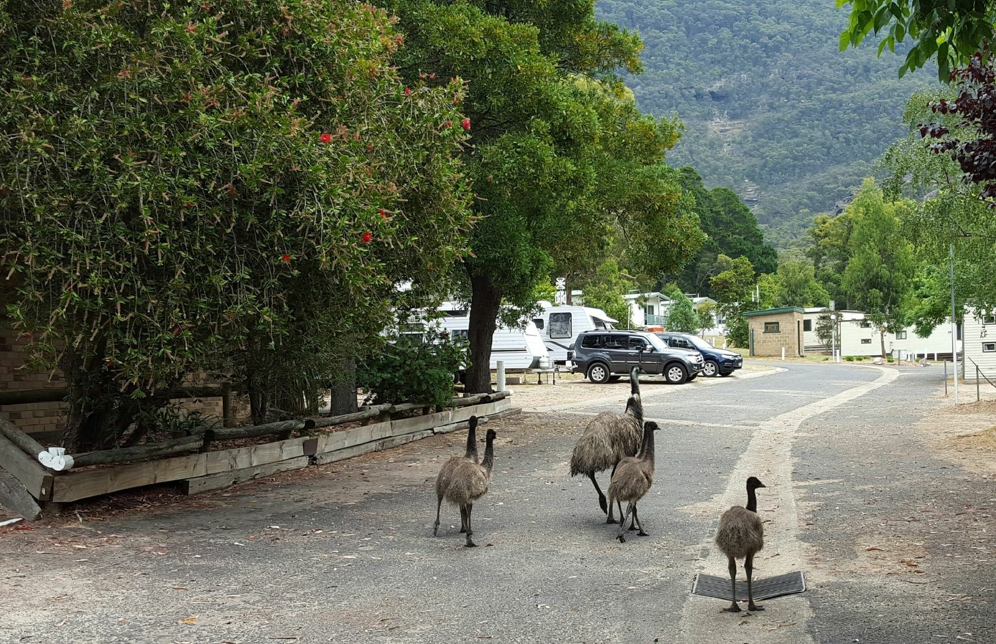 Breeze Holiday Parks - Halls Gap Dış mekan fotoğraf